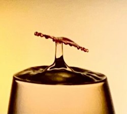 Matices, Minimalismo Fotográfico 1