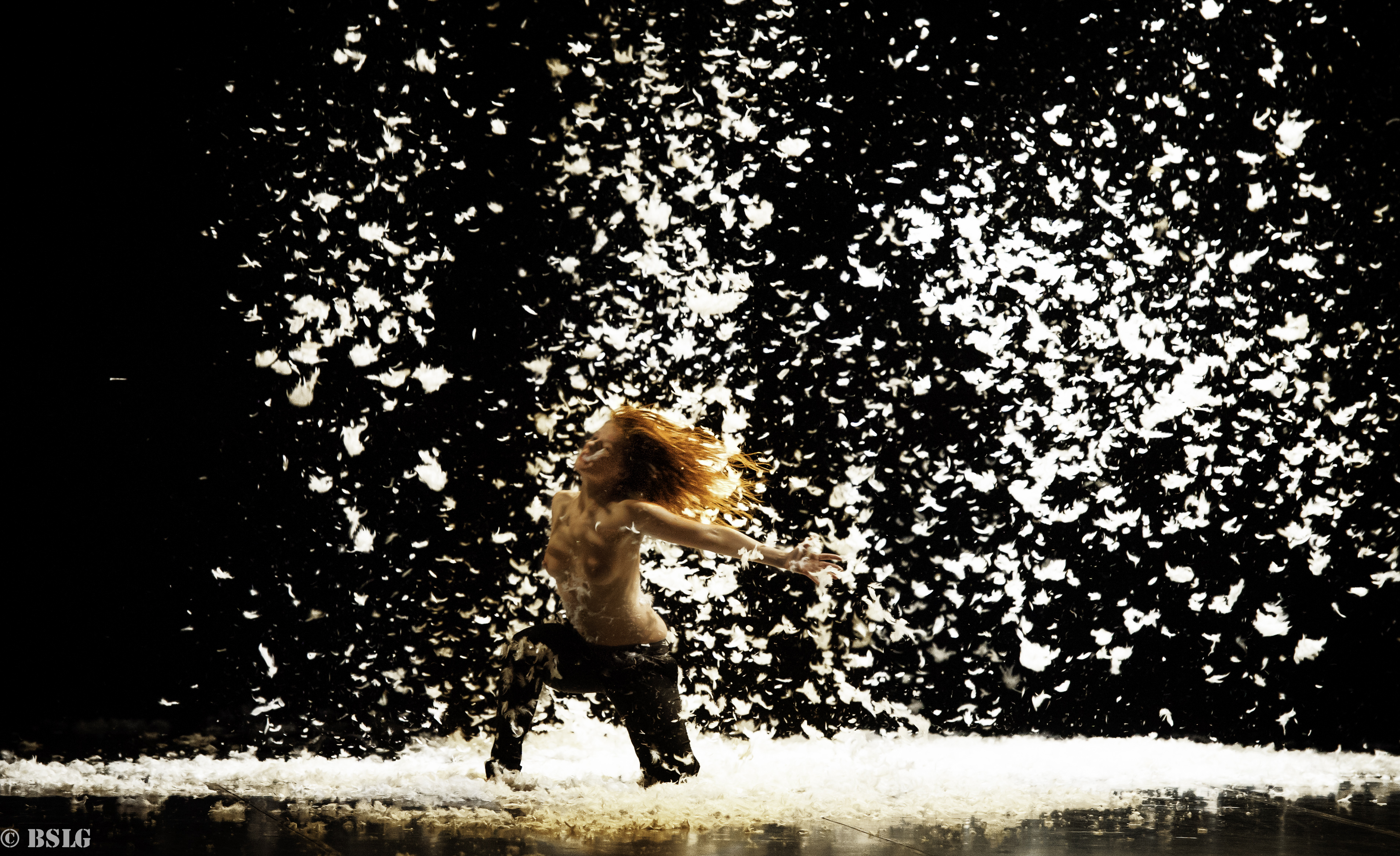 Brea y Plumas Principal