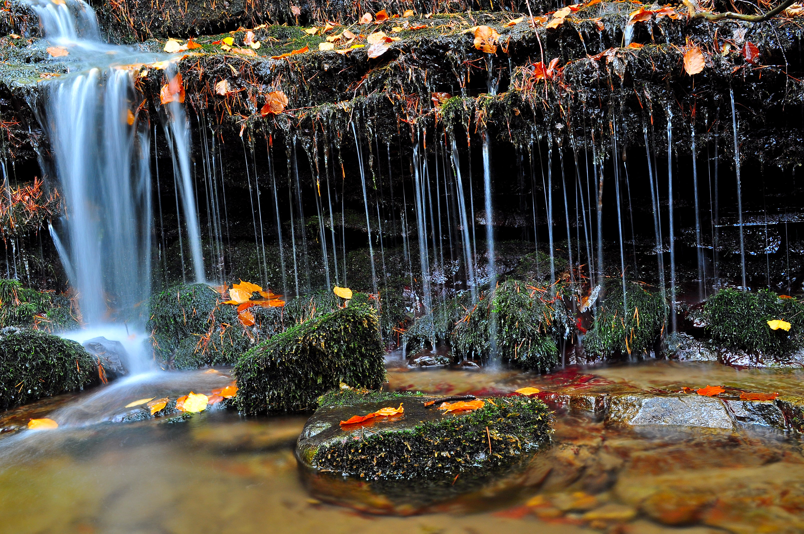 Arroyo de las ninfas - Alberto Hurtado