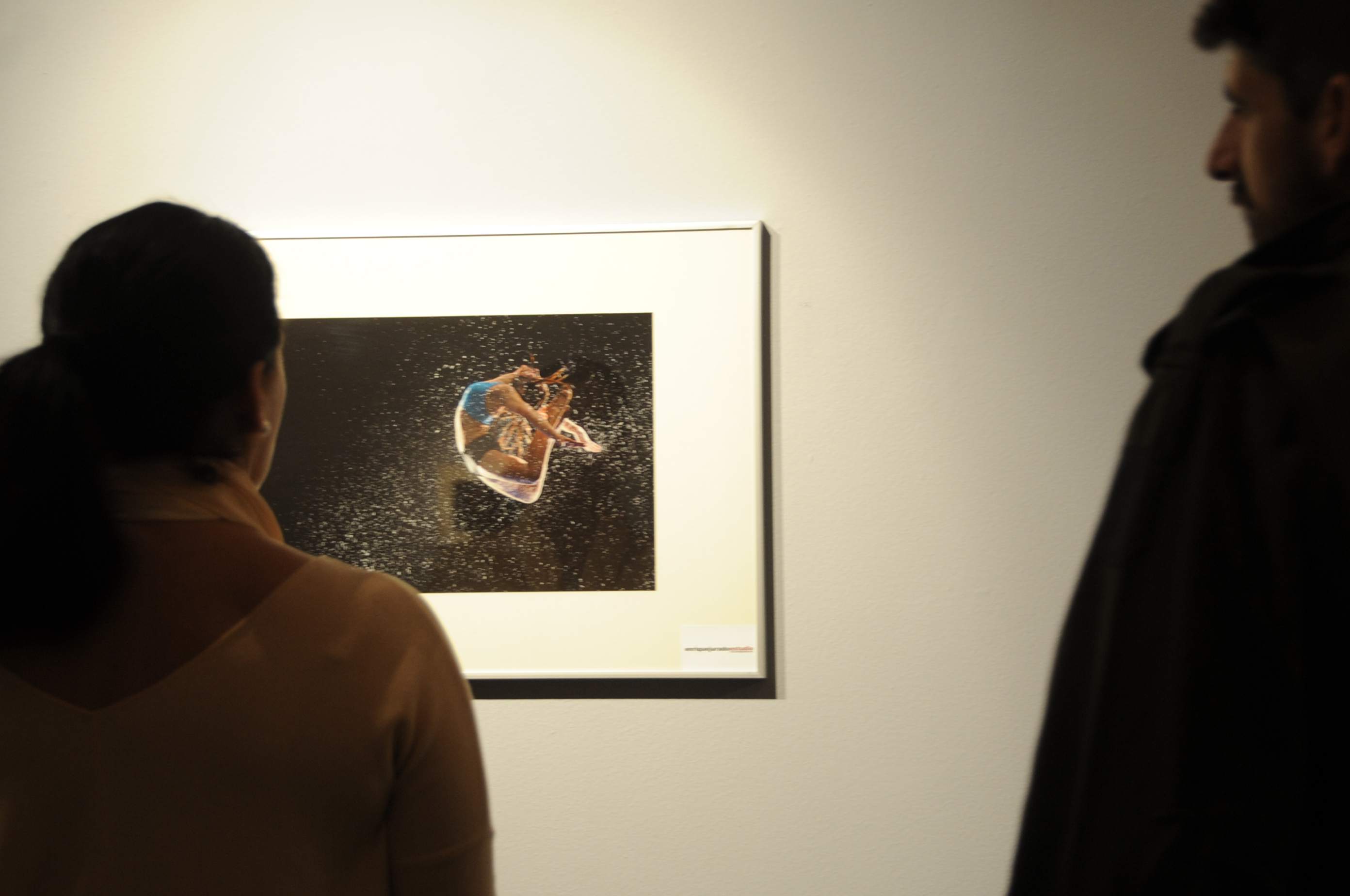 EXPO FOTOS 4 Elementos 3