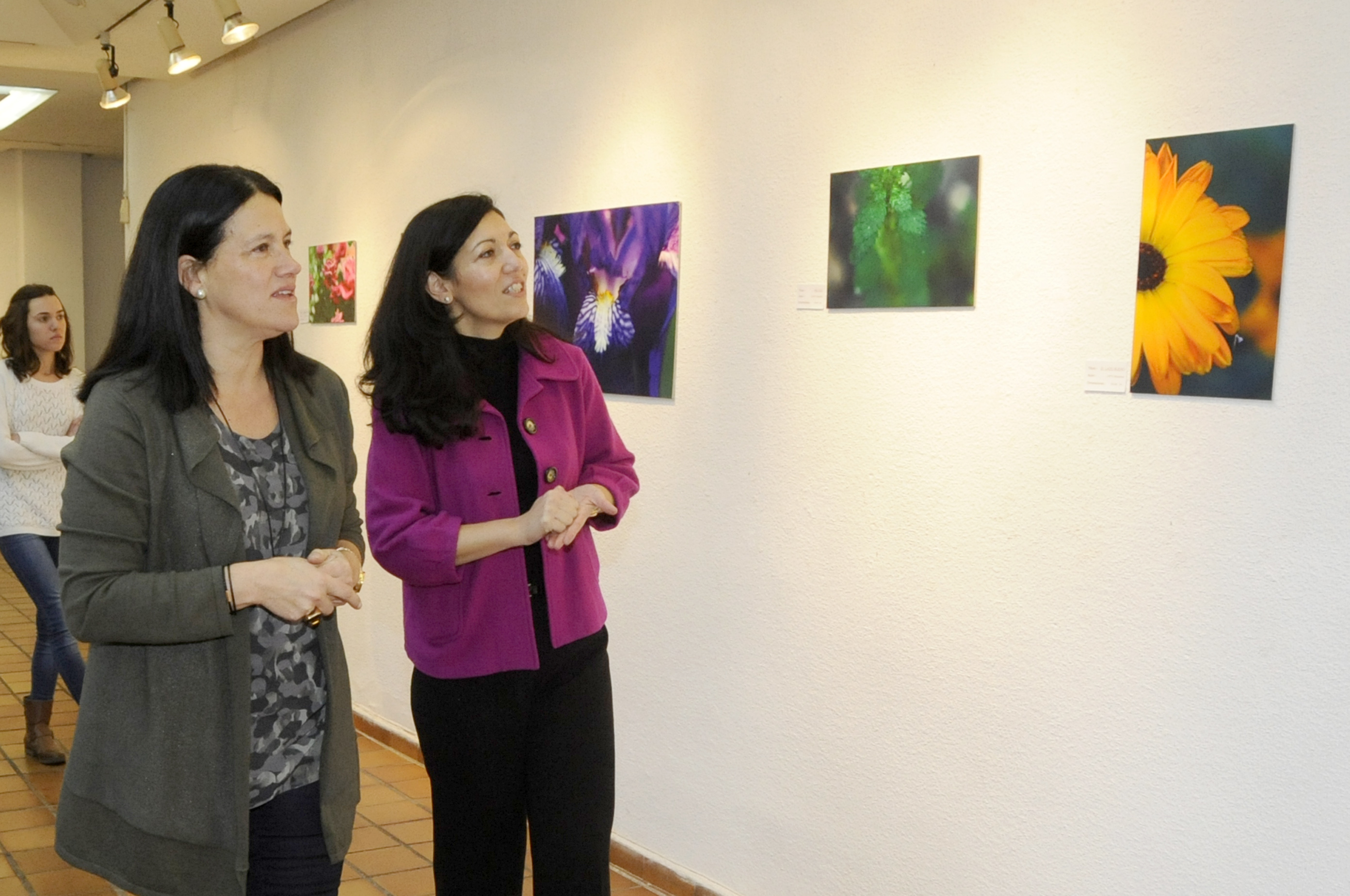 EXPO Detalles y Paisajes 4