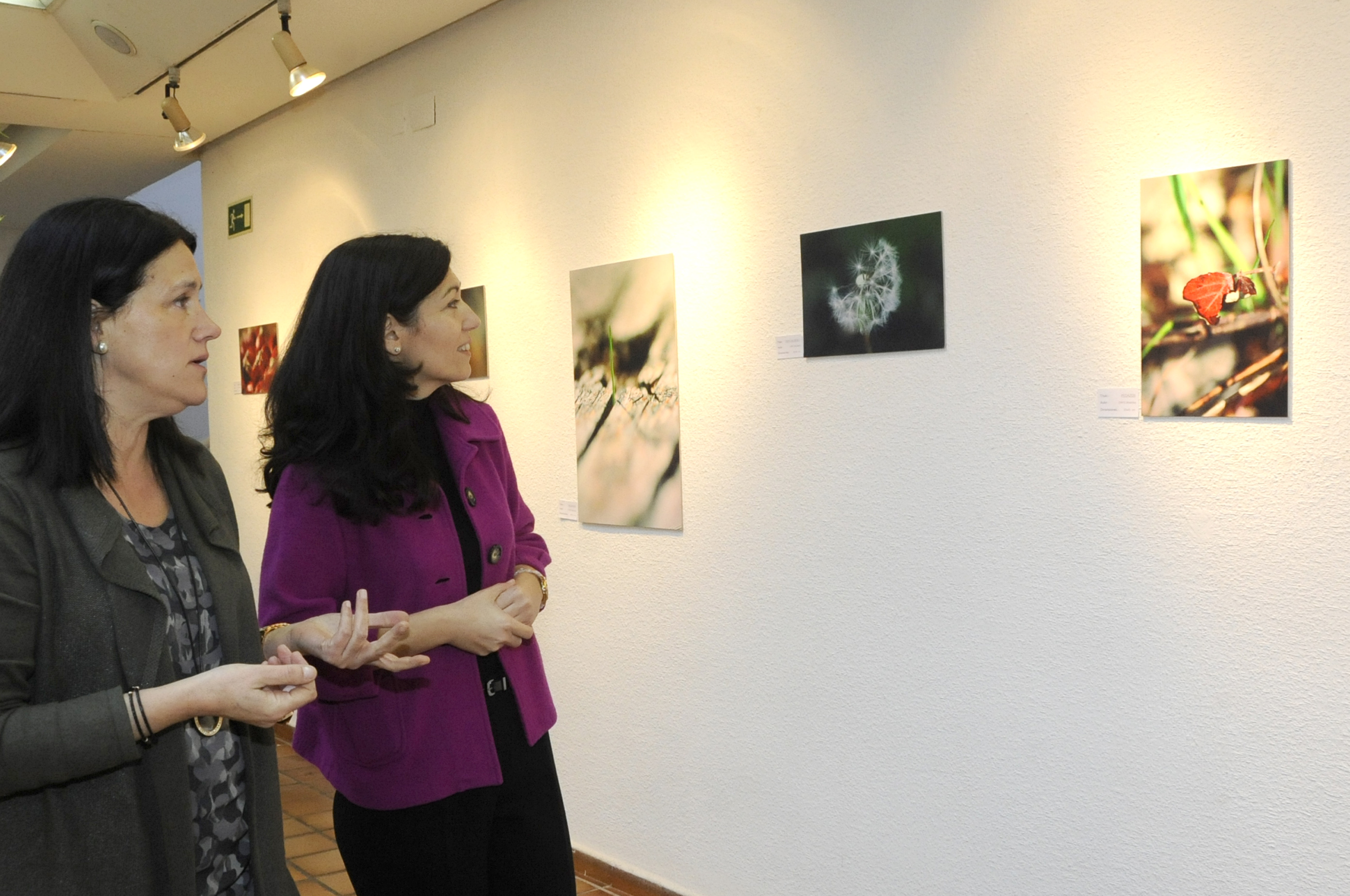 EXPO Detalles y Paisajes 7