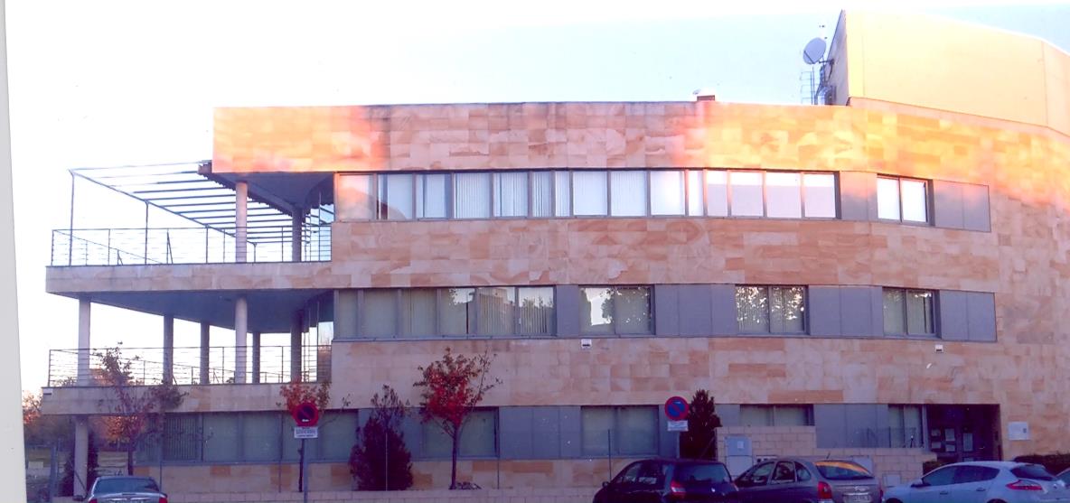 Exposición Grupo Pintira al Óleo