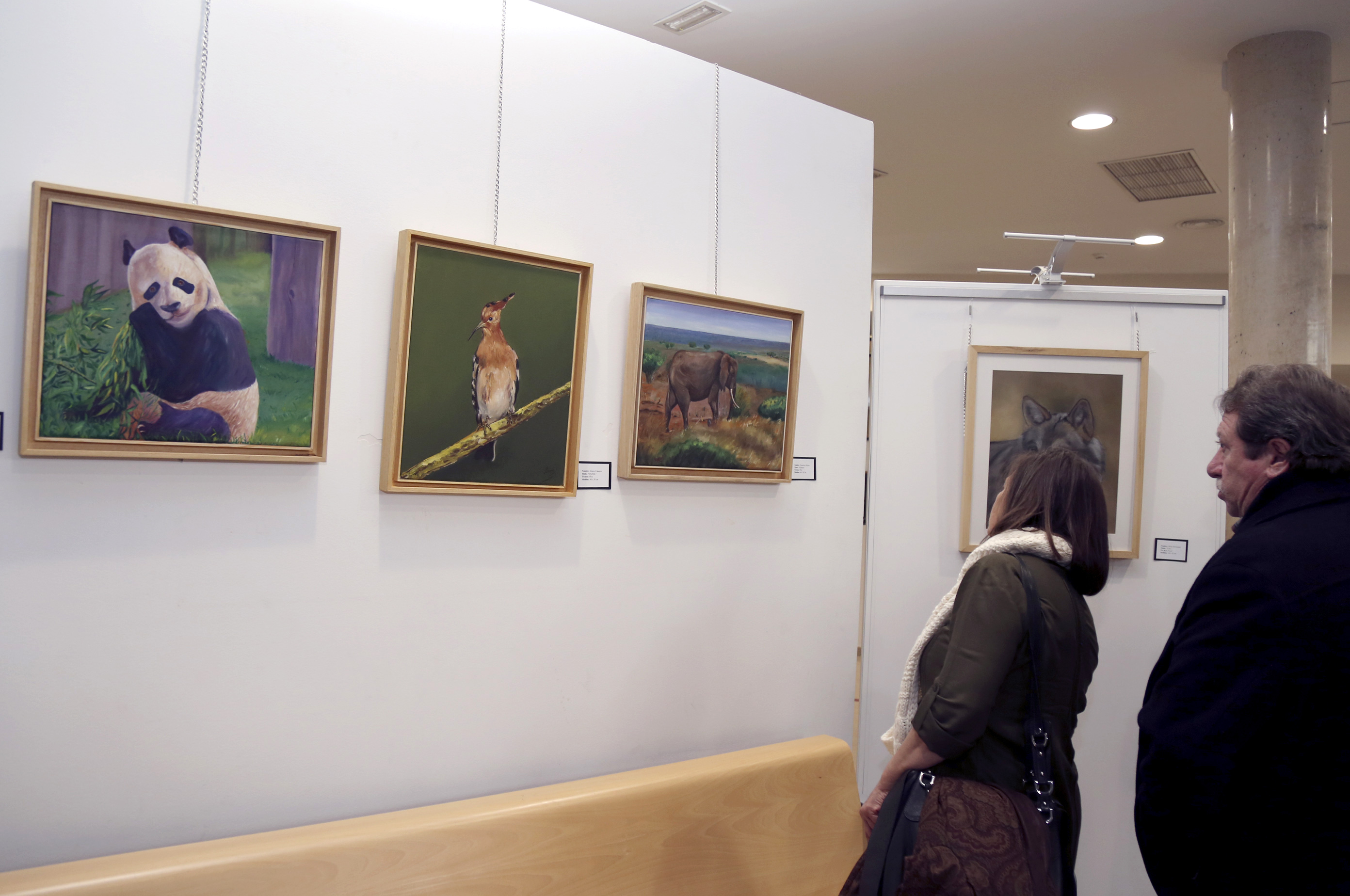 EXPOSICION Colectivo Espacio Fluido 1