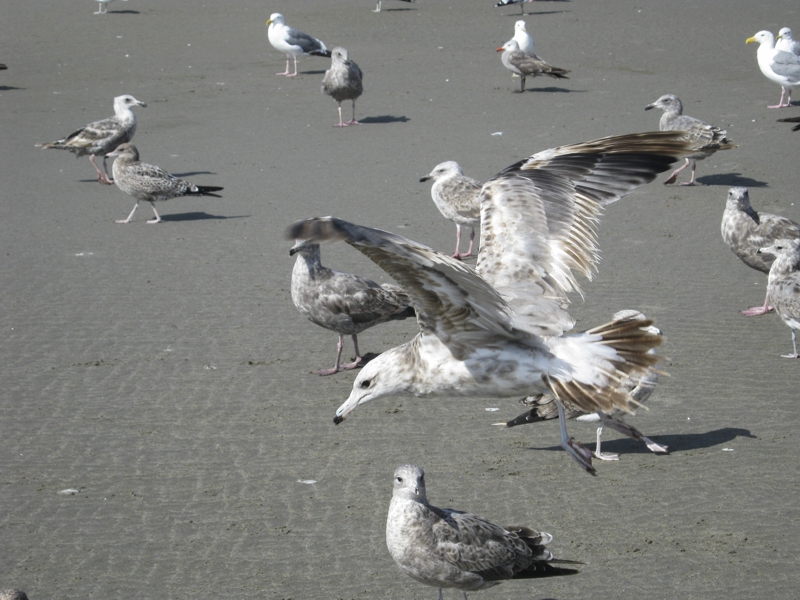 Expo Javier Benavides 4