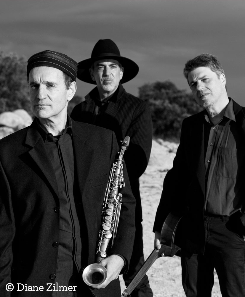 JAVIER PAXARIÑO WEB