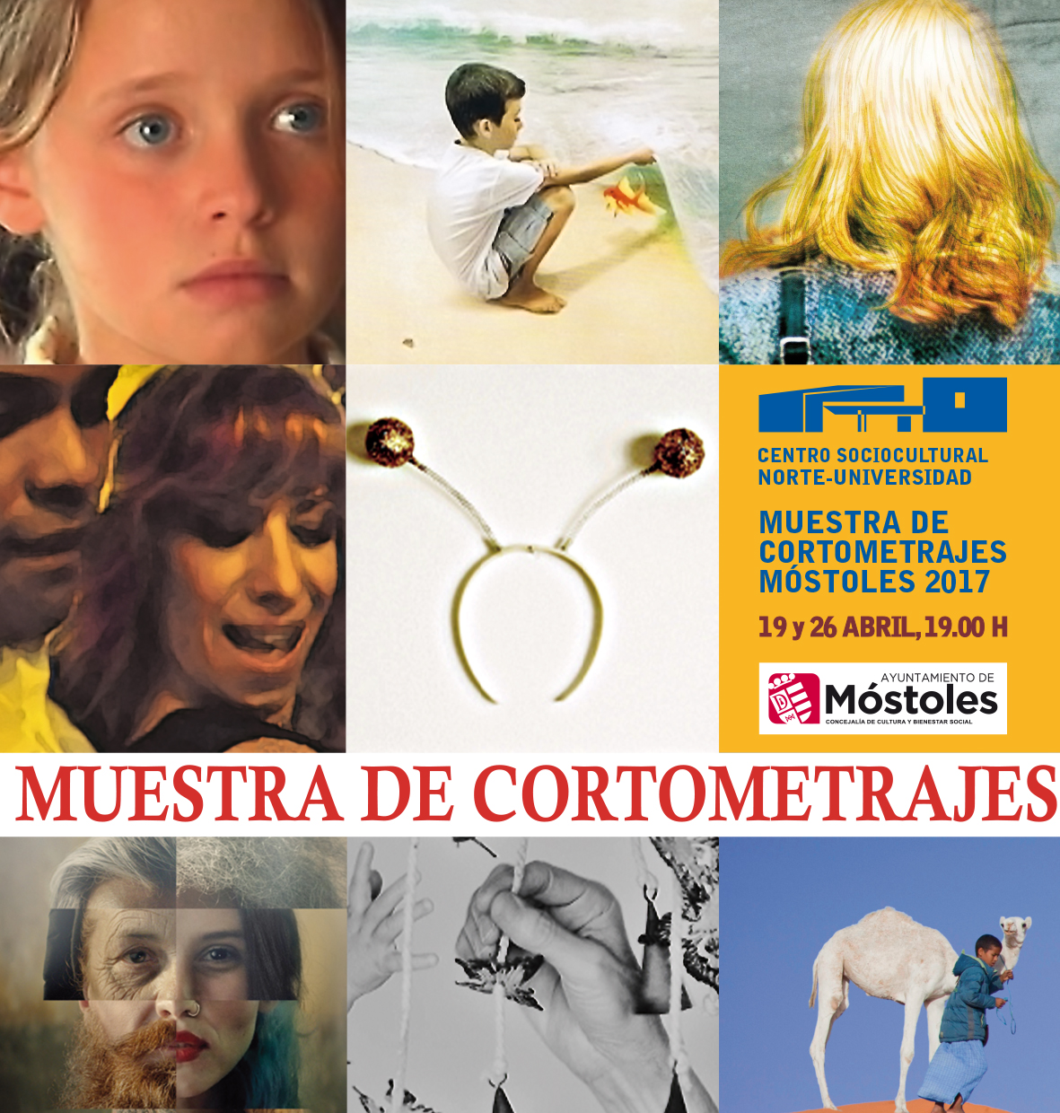 FESTIVAL DE CORTOS-1