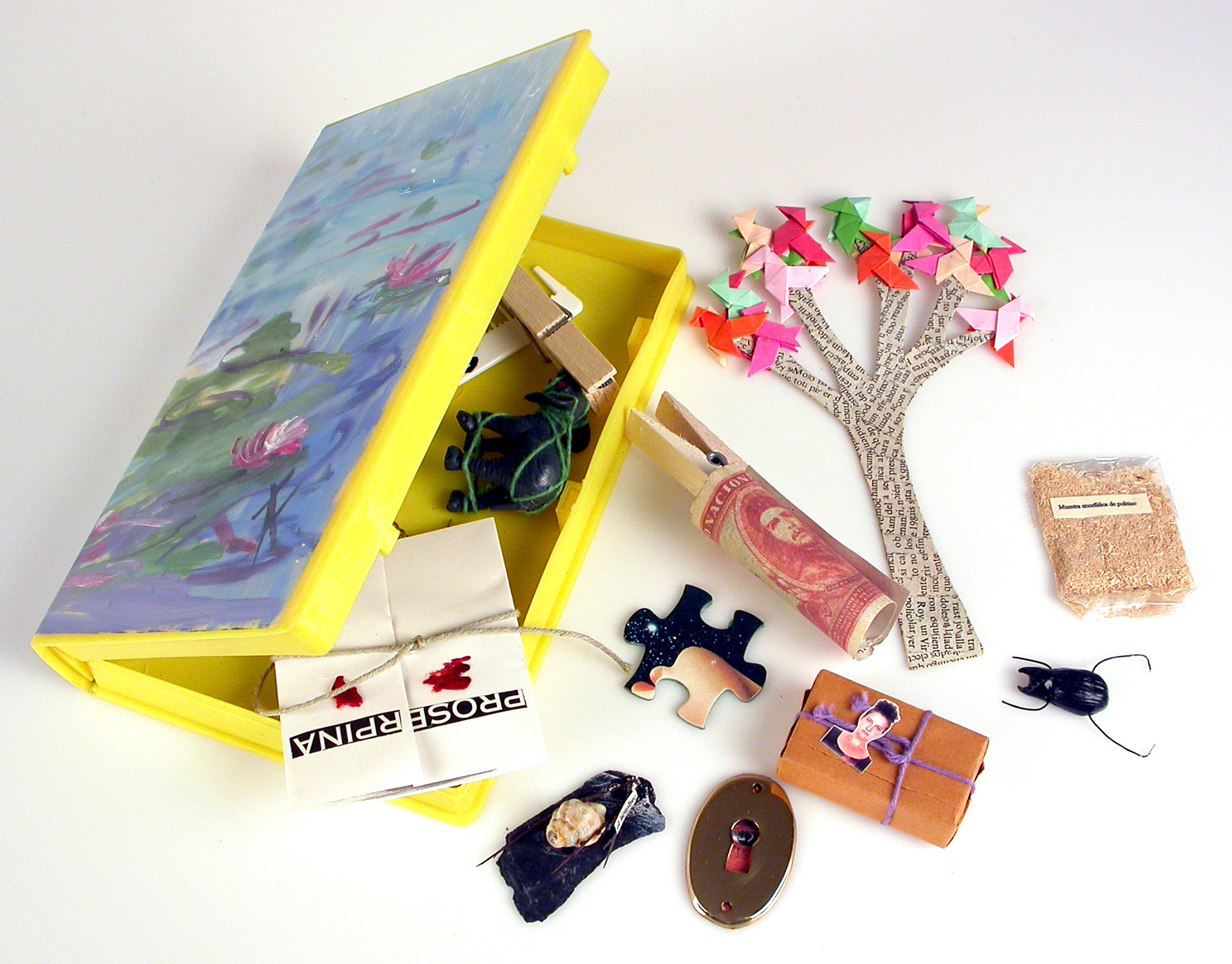 17.RedITINER.PAGINASENCONSTRUCCION.Revistas CAJA_DE_TRUENOS