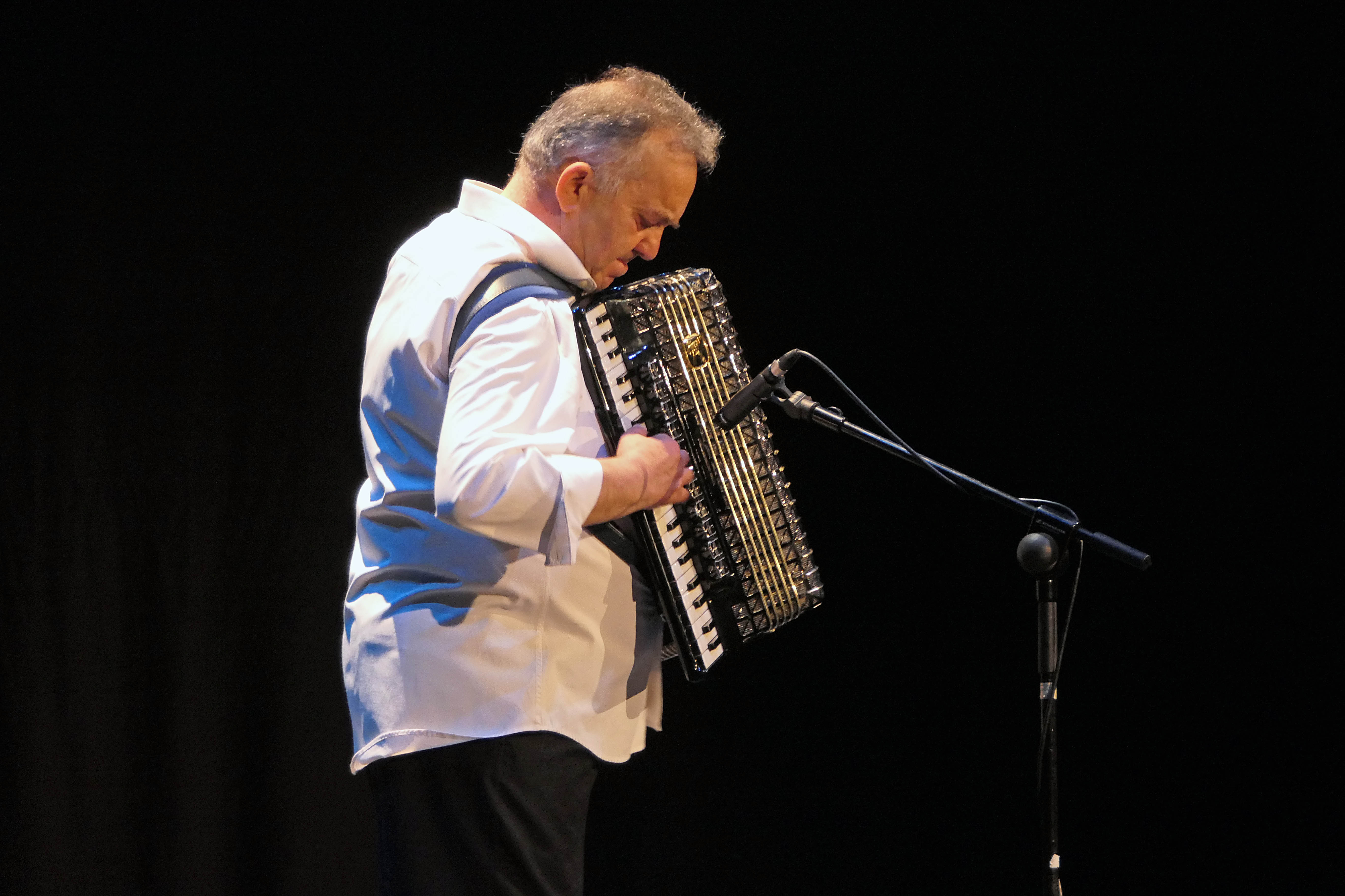 FESTIVAL BENEFICO AFAMSO 1